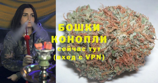 ПСИЛОЦИБИНОВЫЕ ГРИБЫ Сосновка