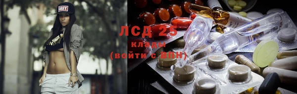 apvp Сосновый Бор