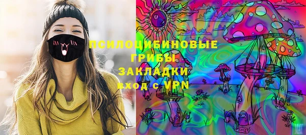 ПСИЛОЦИБИНОВЫЕ ГРИБЫ Сосновка