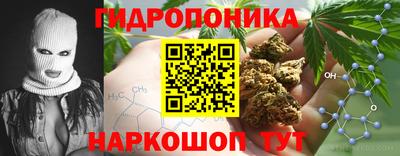 ешки Волгодонск