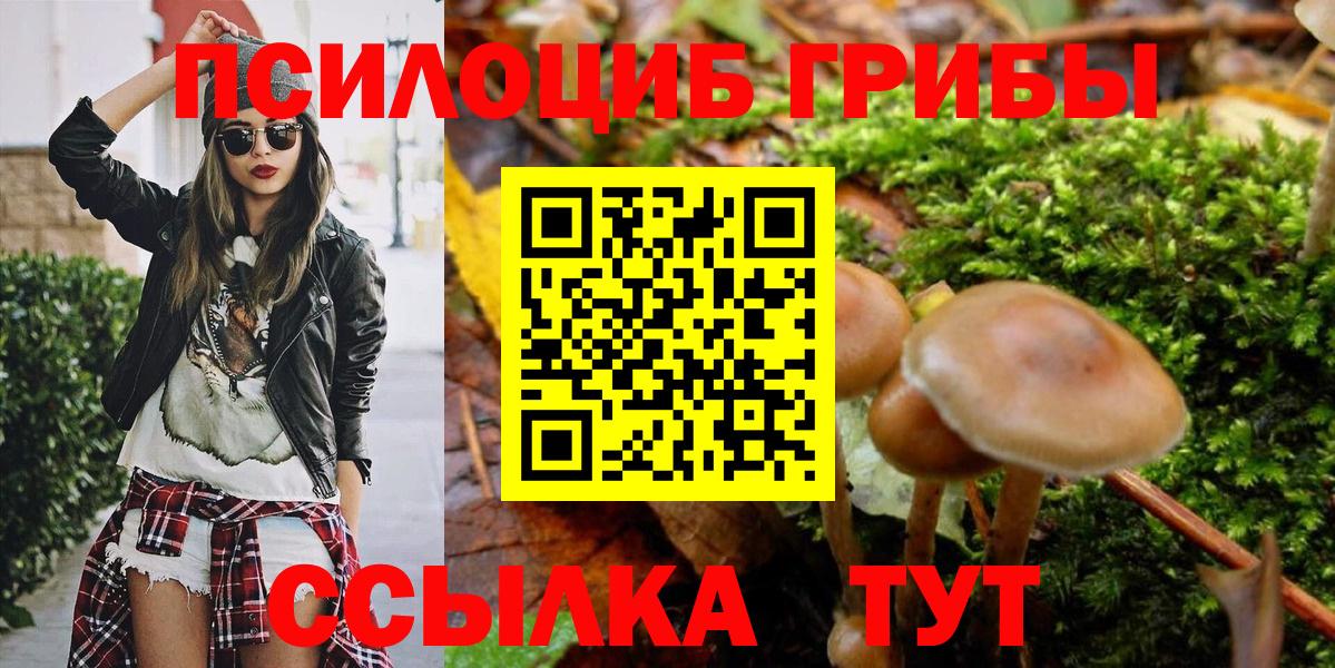 как найти наркотики  Вход с VPN  Псилоцибиновые грибы мицелий  Ейск  Галлюциногенные грибы Cubensis 