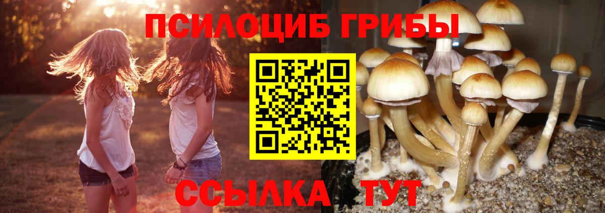 Галлюциногенные грибы ЛСД Ейск